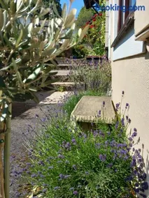 Bossell Cottage Devon - Image 5