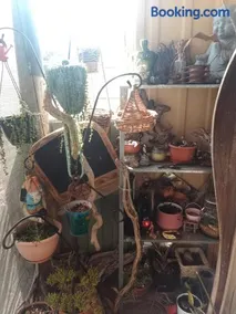 Country living - Image 4