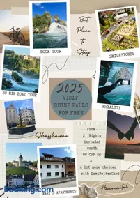 MARYS family friendly Apartments,VISIT RHINE FALLS for FREE if you stay 2 nights, SOHO 95m2 2-Bedrooms 2nd floor & SOUTH BEACH 105m2 3-Bedrooms & LOFT 115m2 3-Bedrooms Suite with Galerie,LOFT Netz 20m2, Pinball, Schaffhausen-Hemmental, Rheinfall 10 km - Image 2