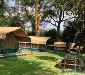 Oasis Eco Camp - Image 2