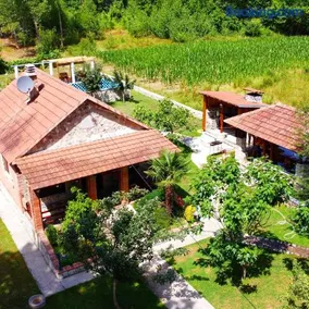 Forest Home - Image 2
