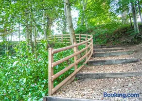 Witton Castle Country Park - Image 3