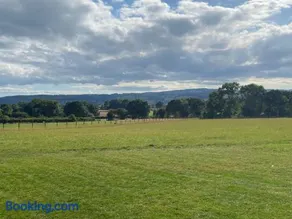 Vale View Glamping - Image 4