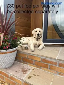 Pear Tree Pod with secluded outdoor bath - Dog Friendly - Image 2