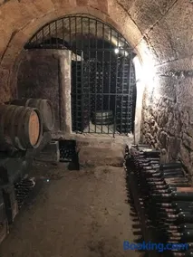 Calao de Cuatro Copas - Image 3