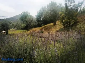 L'Opuntia sul lago - Image 4