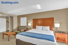 Bristol Arcadia Inn - Image 3