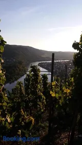 Gästehaus-Weingut Michael Scholer - Image 4
