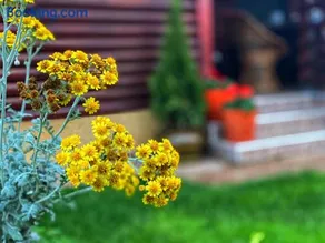 Holiday Home Di More - Image 3