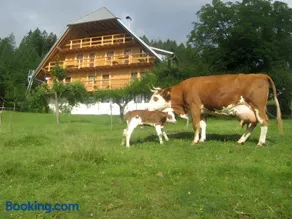 Sigmundenhof Schonach - Image 2