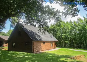 Pantglas Hall Lodges - Image 4