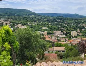 Le jardin des oliviers - Image 1