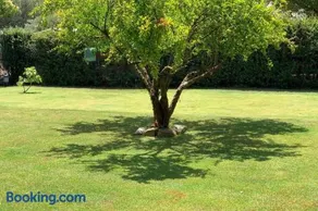 Casa Chia a 5 minuti dal mare - Su Giudeu Tuerredda - Image 3