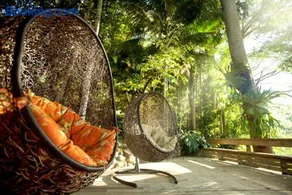 Currumbin Rainforest Treehouse - Image 3