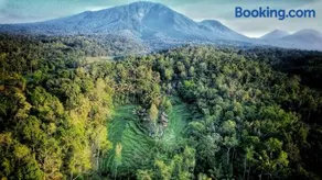 Oemah Tepi Sawah - Image 3