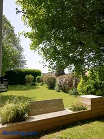 A l'ombre du ginkgo - Image 1