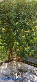 Jasmine Country House - Image 2