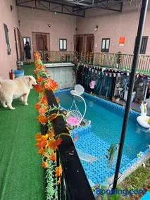 Happy House TB - Image 3