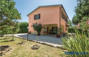 Quadrifoglio - Image 4