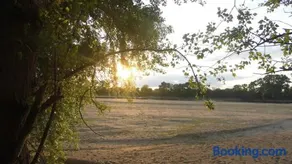Les bords de Loire - Image 2