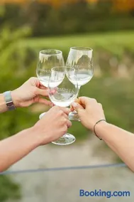 Boutique Wine and Wellness Retreat - Wine Residence Kerman - Image 3