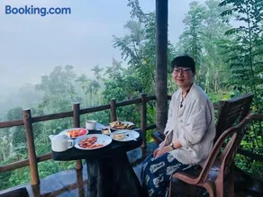 Misty Mountain- Sinharaja - Image 1