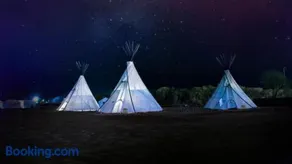 Alpaka-Tipi-Park - Image 3