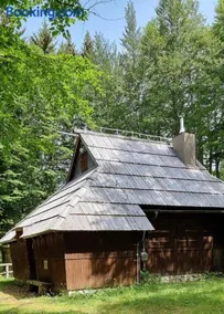 Koča Pastirica - Velika planina - Image 1