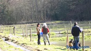 Hollweck´s Landoase - Image 3