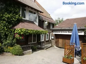 Schwarzwaldgasthof Hotel Schwanen - Image 1