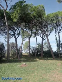 Gîte la lavande provençale - Image 4