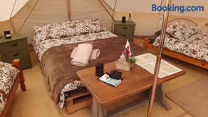 Calon Y Goedwig Glamping - Image 3