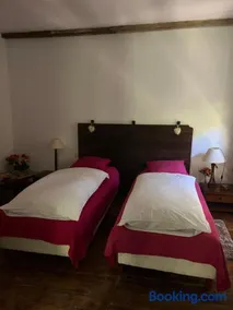 les libellules - Image 3