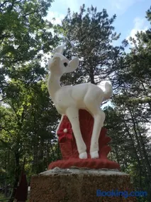 Pineta - Image 2