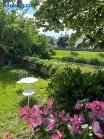 Altstadthaus an der Kleinen Donau - Image 3