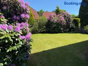 Ferienhaus Seerrobbe - Image 3