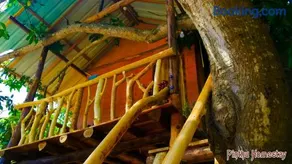 Pinthu Home Stay - Image 2