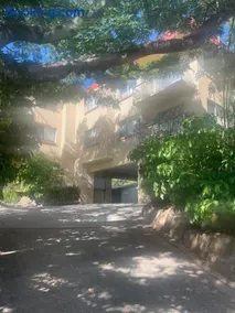 2 Bed Ground Flr Gaythorne Courtyard Apt, parking - Image 2