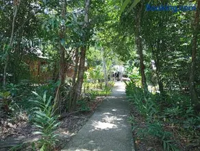 Casa Maya - Image 4