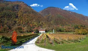 Agritur La Polentera - Image 3