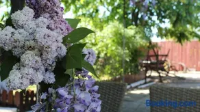 Mary's Country House - Image 2