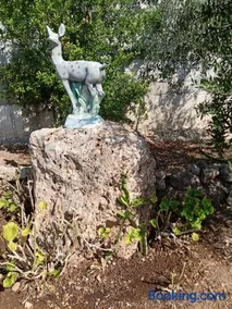 Petrothalassa - Image 3