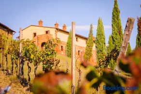Colle Bertini - Image 3