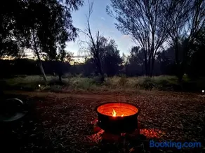 Nature of Alice - Bush Retreat - Image 2