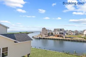 Stacked Deck - Image 3