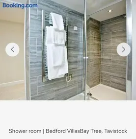 Bay Tree - Image 3