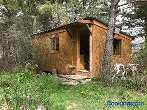 sous les arbres - Image 1
