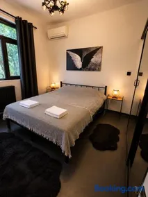 Kartepe Mountain Villa - Image 4