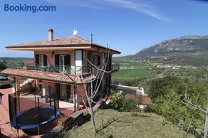Villa Giulia - Cilento - Giungano - Image 1