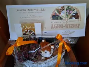 Domki Borowiackie nad brzegiem jeziora - Image 1